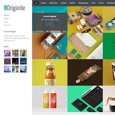 Originite - Responsive Portfolio WordPress Theme