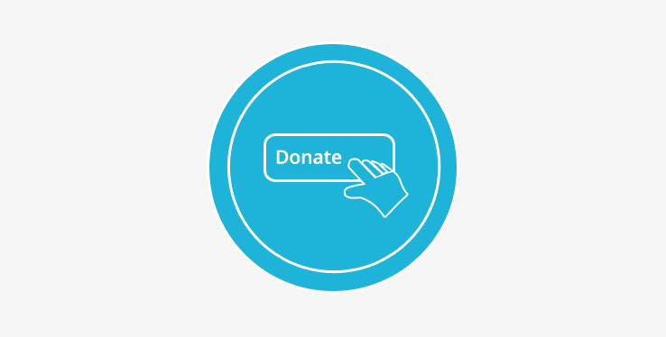 Simple Donation Preview
