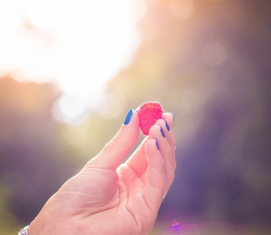 Colorful Raspberry in a Girls Hand