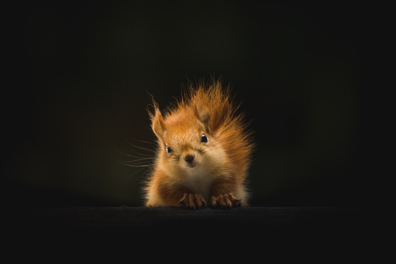 WordPress Post with right sidebar